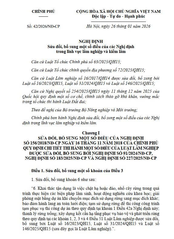 NĐ 42 2026