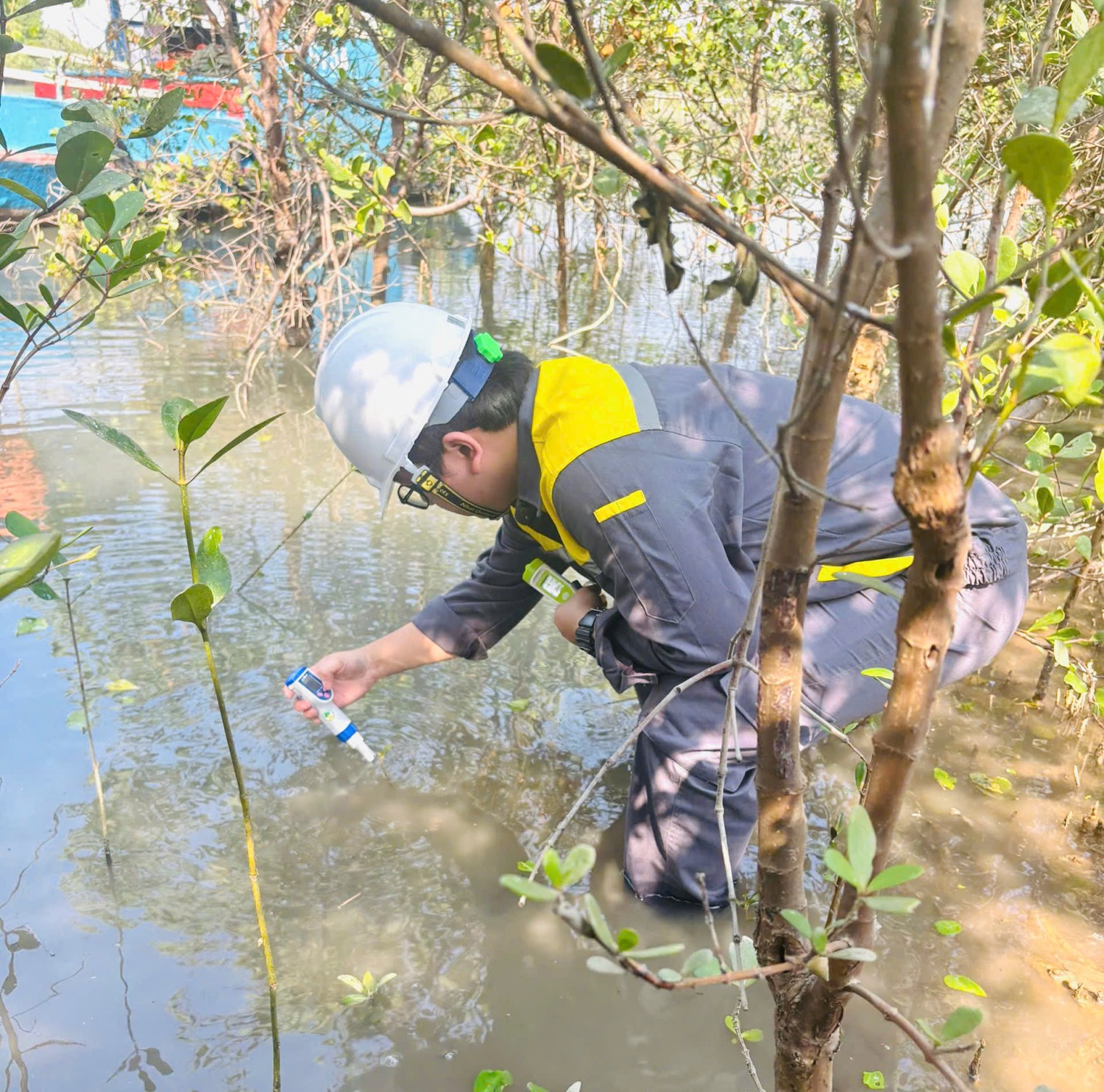 z7482129822725 0150e6fea91b6bb5362387a019761b76