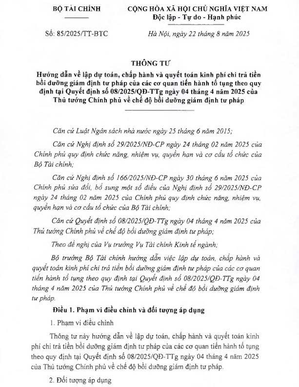 Thông tư số 85/2025/TT-BTC ngày 22/08/2025 Vv hướng dẫn về lập dự toán, chấp hành và quyết toán kinh phí chi trả tiền bồi dưỡng GĐ TP theo chế độ