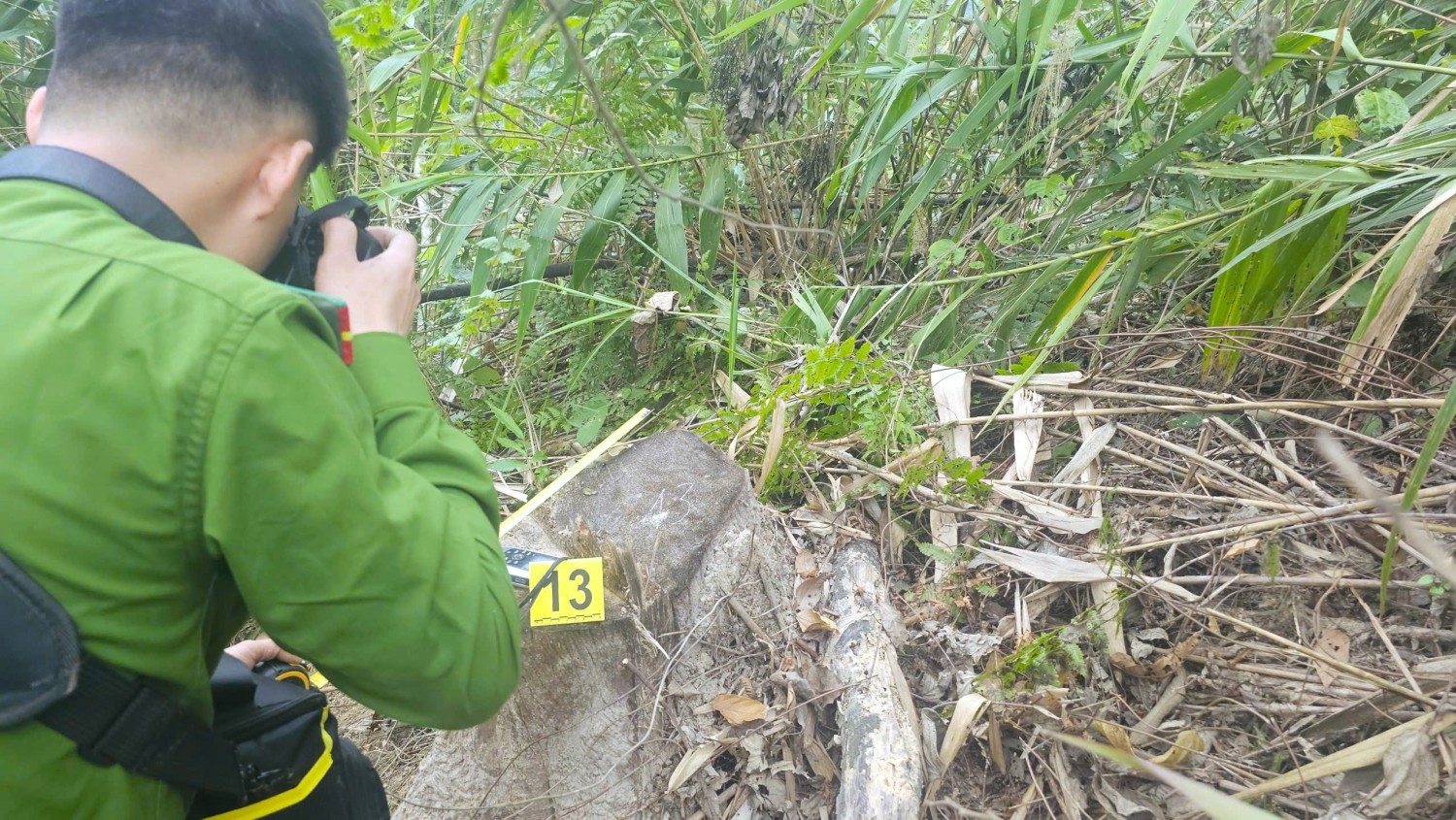 z7629433971596 845982de999ffae624ae6800c744f40a