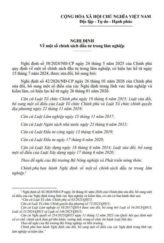 VBHN số 15/VBHN-BNNMT ngày 10/02/2026 Nghị định về một số chính sách đầu tư trong lâm nghiệp